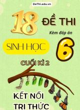 Tuyển tập 18 Đề thi cuối Kì 2 môn Sinh Học 6 sách Kết Nối Tri Thức (Kèm đáp án)